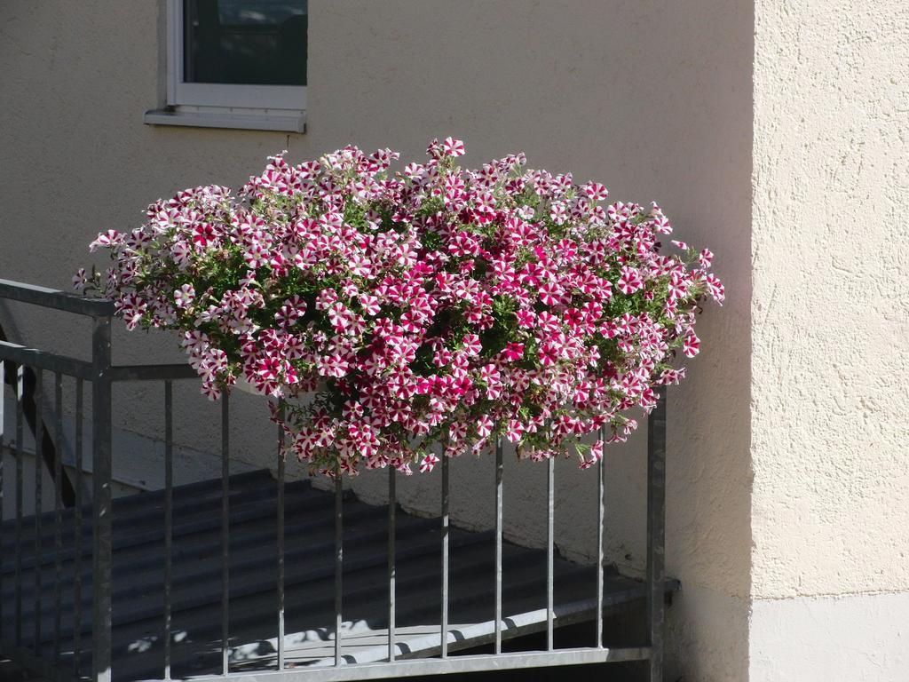 Haus Hildegard Hotel Bad Füssing Екстериор снимка